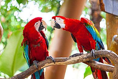 《皇家骑士团：重生》新情报 装备和技能有所改动